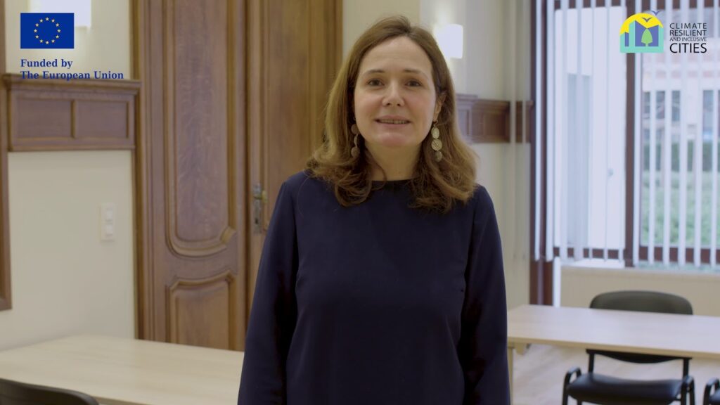 Interviews of partners of the CRIC project