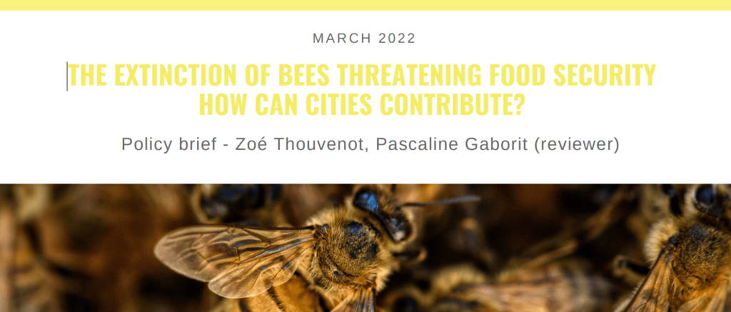 POLICY BRIEF - THE EXTINCTION OF BEES THREATENING FOOD SECURITY: HOW CAN CITIES CONTRIBUTE?