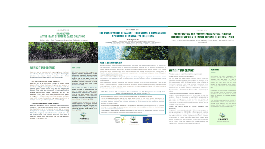 Collection: Pilot4DEV's policy briefs